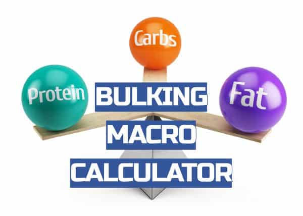 Bulking Macro Calculator Finds Your Macros For Muscle Gain