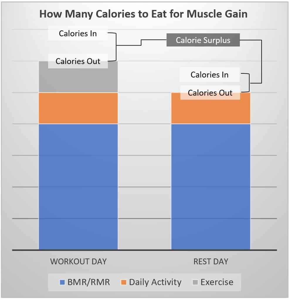 daily calorie intake for muscle gain