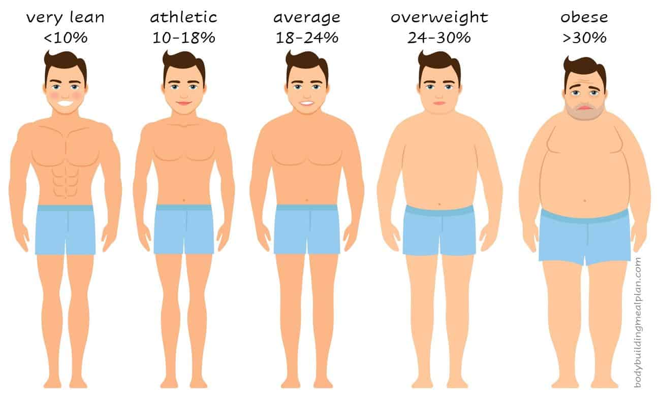 17 Body Fat Percentage