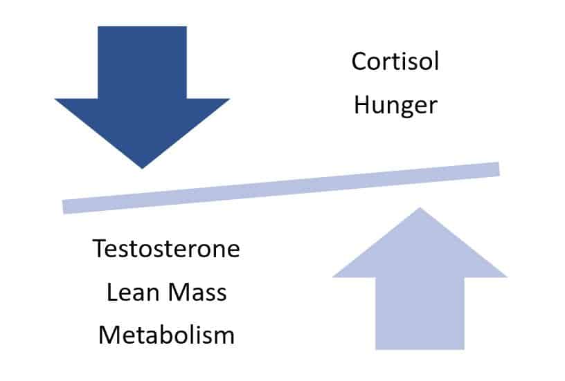 reverse dieting hormone balance