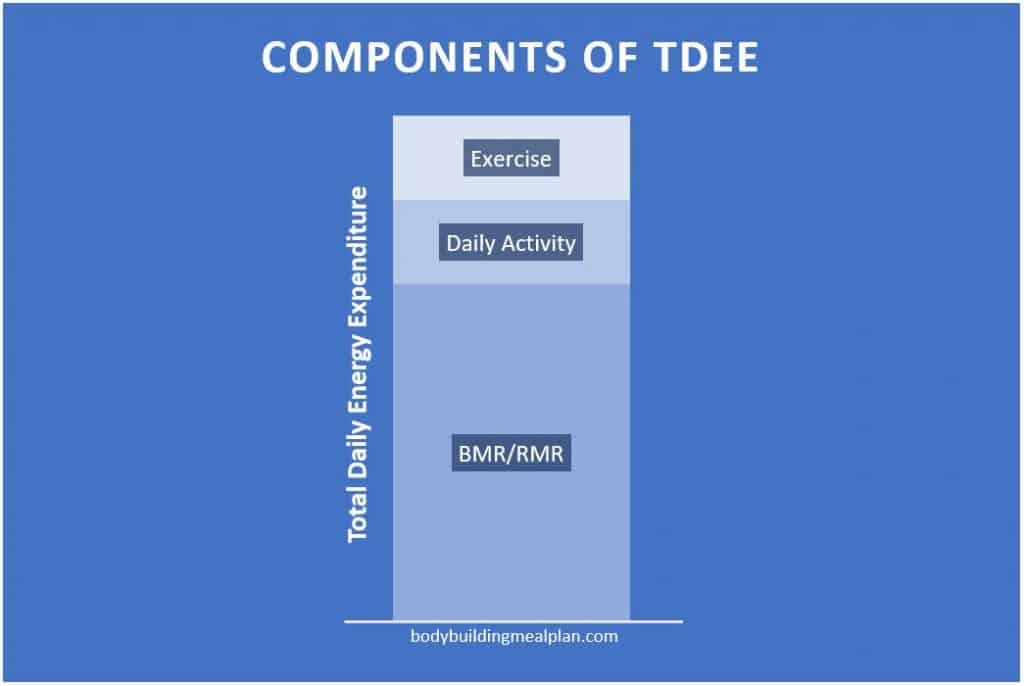 Free TDEE Calculator: Find Out How Many Calories You Burn