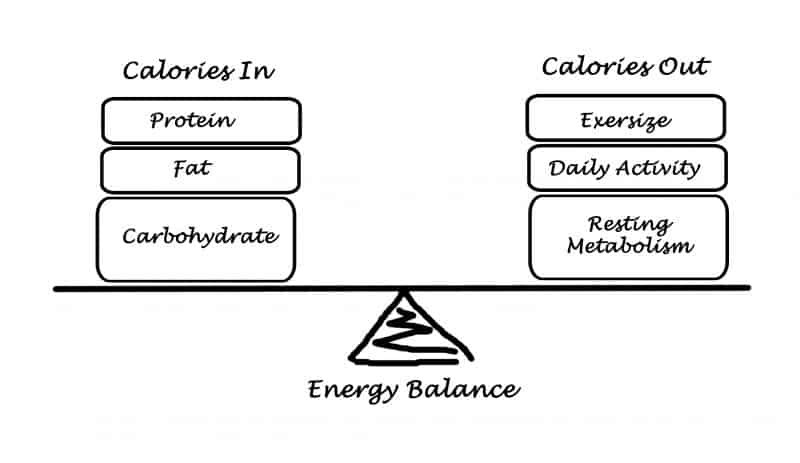 Best Maintenance Calorie Calculator for Finding Energy Balance